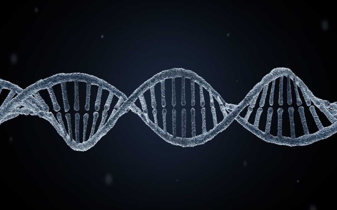 Your financial portfolio should be as personalized as your DNA
