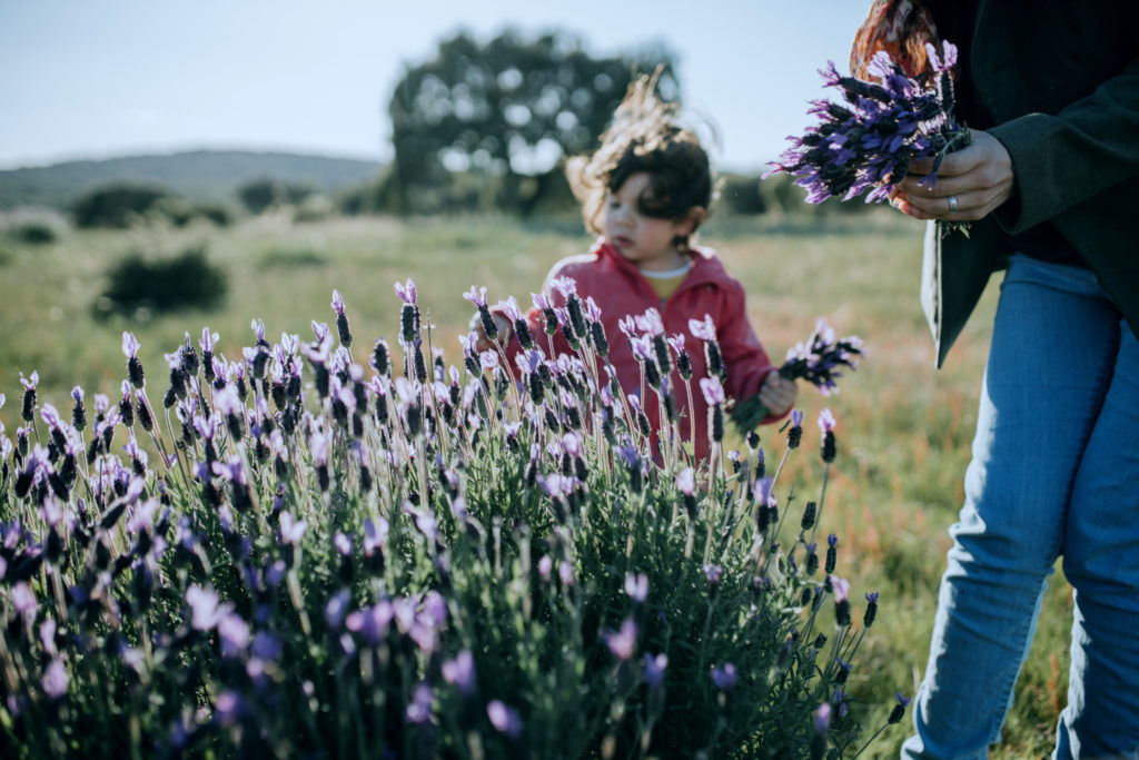 Rear View Of People On Field Against Purple Flowering Plants
