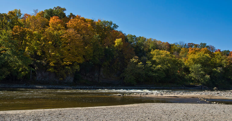 AS541115667_Waterloo