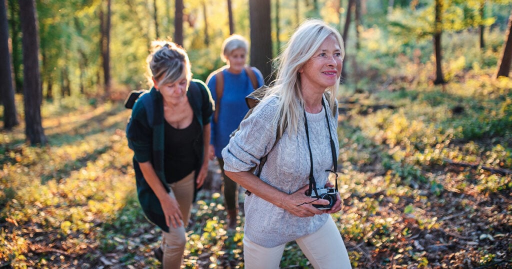Older women hiking together through a sunlit forest, enjoying an active retirement lifestyle and finding purpose in this new chapter of life