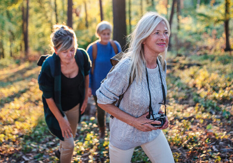 Older women hiking together through a sunlit forest, enjoying an active retirement lifestyle and finding purpose in this new chapter of life
